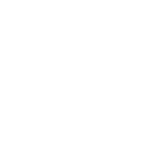 Customer experience icon